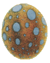 egg